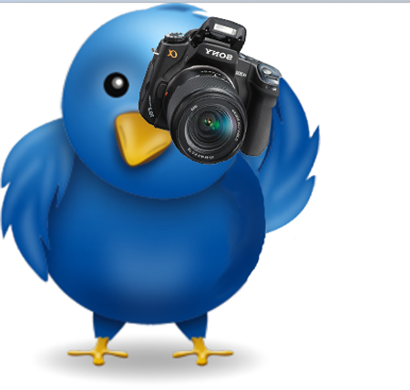 Twitter Bird with Camera