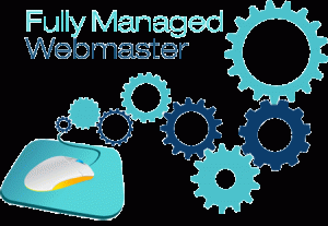 fully managed webmasters